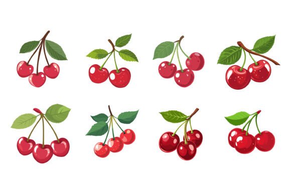 Set of Cherries: Evaluating a Flexible AI & EPS Illustration Collection