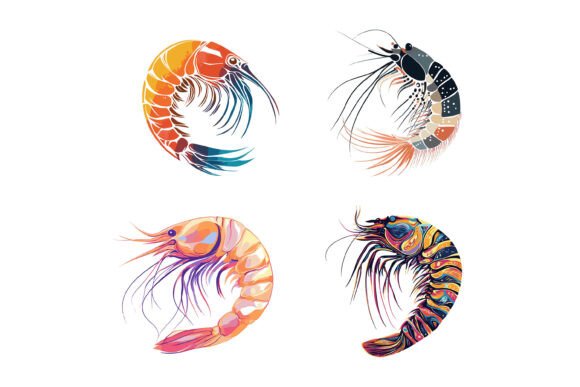 Set of Shrimp: Versatile Vector Illustrations for Modern Projects