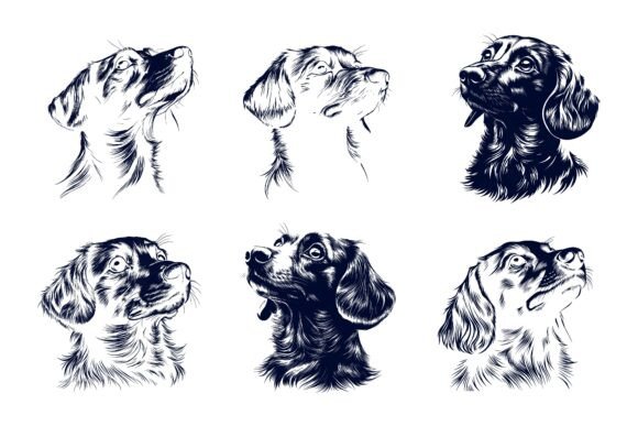 Understanding Happy Vizsla Dog Heads and Their Place in Modern Design Collections